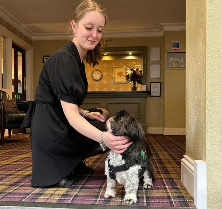 Dog-Friendly-Girl-Stroking-Dog